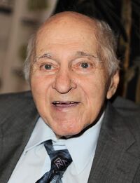 Robertellenstein