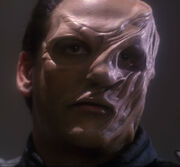 Orgoth