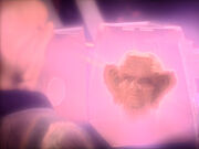 Zek inside orb