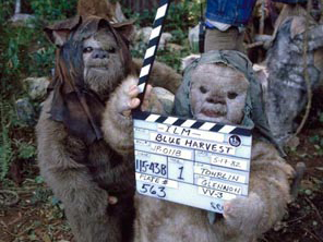 Ewokdirector