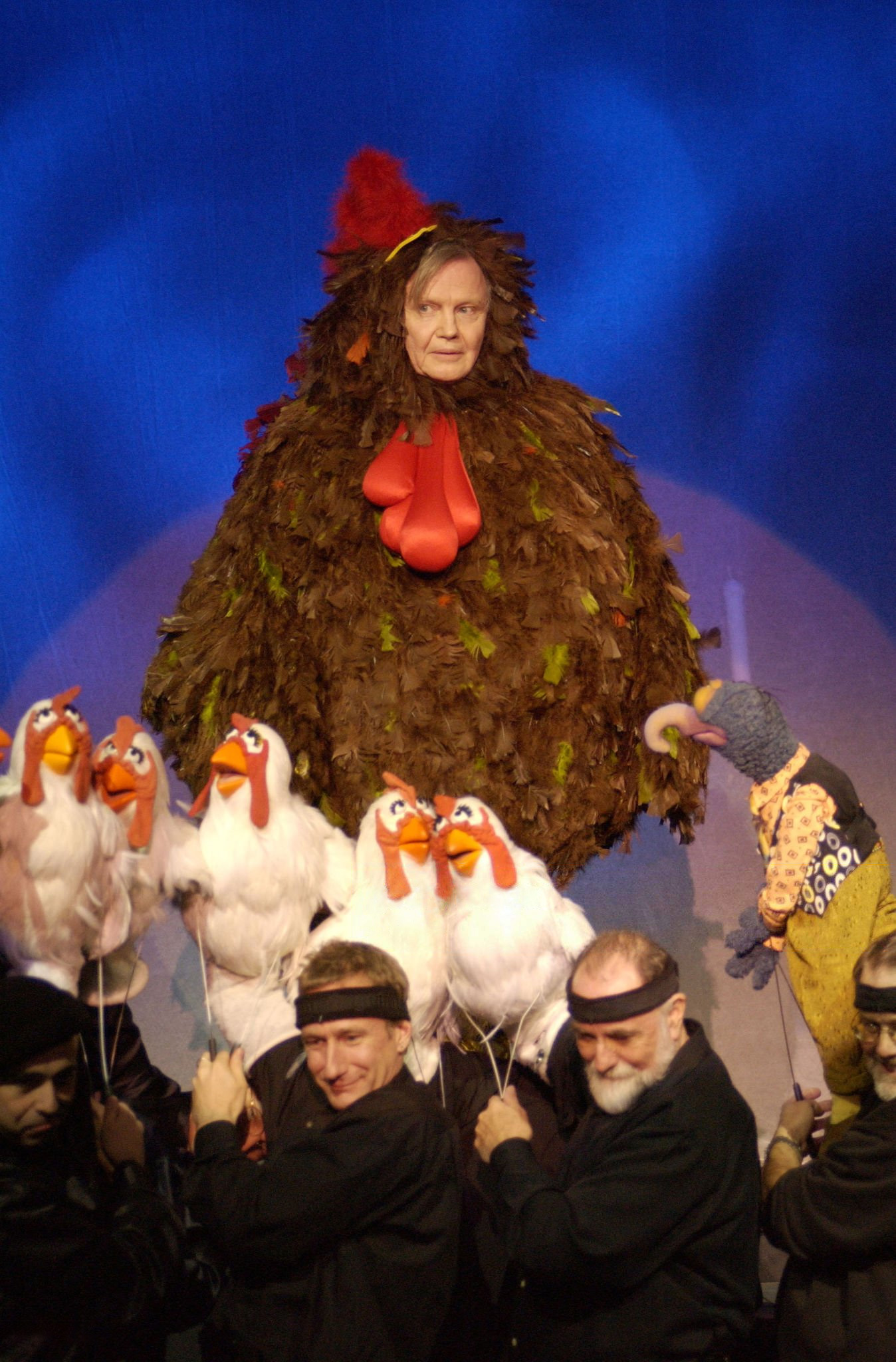 Voightchicken