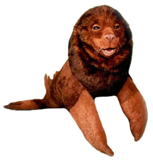 Sea Lion
