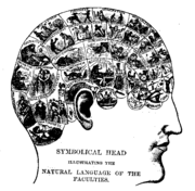 180px-Phrenologychart