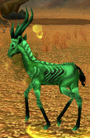 Sickly Gazelle