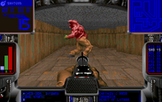 Doom alpha 0.2 bruiser