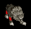 Timberwolf