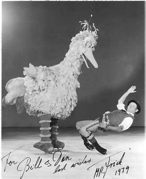 Mrfrickbigbird1979