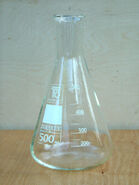 450px-Erlenmeyer flask hg