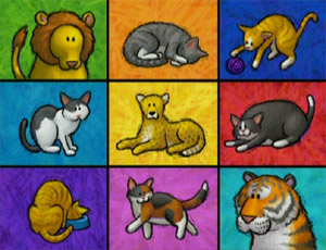 Ewcats-dvdcard