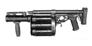 Rg6 fold
