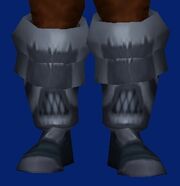 Windshear Boots