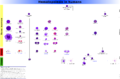 Hematopoiesis (human) diagram