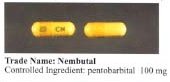 Pentobarbital DOJ