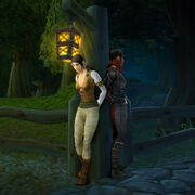FMFells TownThief2