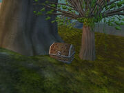 Rackmore's Chest