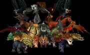 Primal Spirits