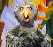 Hilaryowl