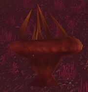 Aquatic Stinkhorn