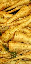 Parsnip1