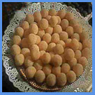 Yema