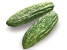 BitterMelon