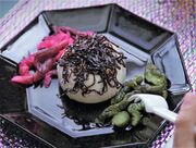 Kelp bud, Plankton loaf, Sea berry