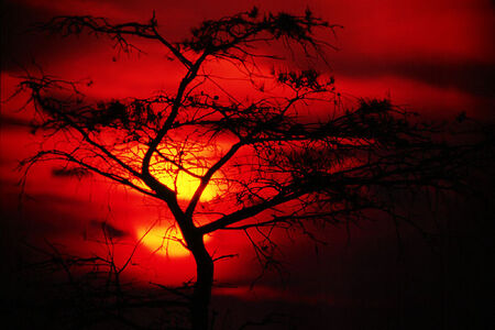 Bloodysunset