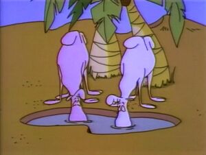 Toon.camels