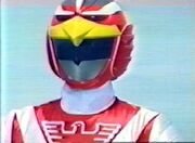 Live Red Falcon