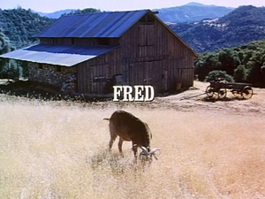 Title.fred