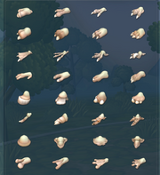 Feet