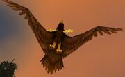 Duskwing Eagle