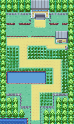 Ruta 6