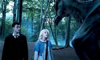 HarryLunaThestral