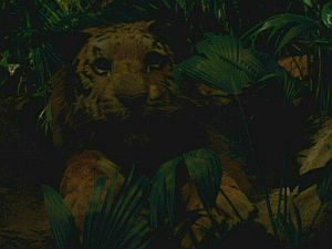 Darjeeling-tiger