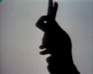Shadowrabbit