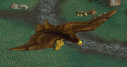 Duskwing Eagle2