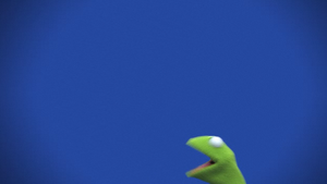 Muppets-com25