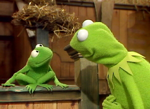 Robinkermit
