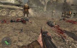 German Gore WaW