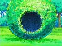 EP492 Casa de un Bidoof
