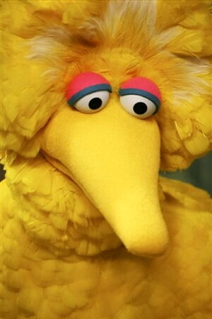 Bigbirdpensive