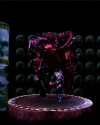 Duvalia Figure