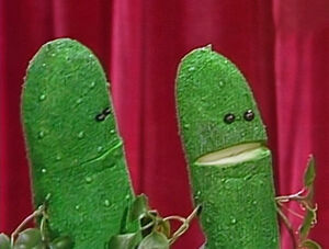 315 cucumbers