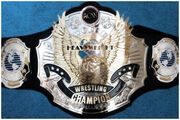 ACWWorldHeavyweightChampionship-His