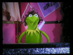 HollywoodBowl-Kermit-as-SonnyBono-2006-09-15