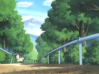 EP389 Linoone chocando con unos barrotes