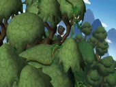 Jungle