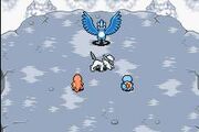 Articuno en el Bosque Helado