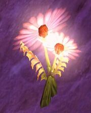 Dreaming Glory